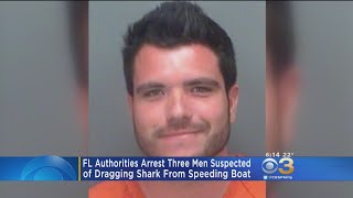 3 Florida Men Charged In Shark Dragging Video Incident [upl. by Cirle]