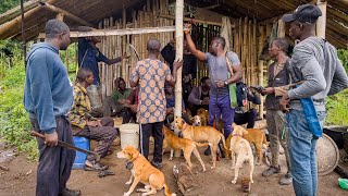 The Untold Story Of how NigerianAfrican Hunters Hunt Bushmeat Ep7  Hunting Wild Boar 🐗 [upl. by Anirbac400]