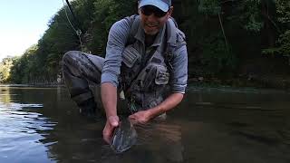 Fly Fishing western New York’s Steelhead Alley [upl. by Nevet495]