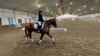 Dressage Video [upl. by Akinyt104]