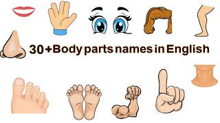 30 parts name in english  body parts name  English Vocabulary [upl. by Bethezel]