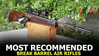 Top 10 Best Break Barrel Air Rifles for Small Game Hunting  Most Recommended Airguns [upl. by Minda19]