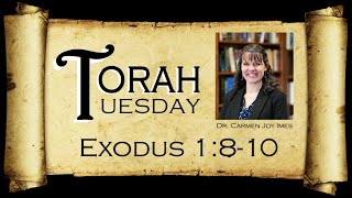 Torah Tuesday  Exodus 1810 [upl. by Celeste]