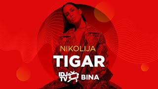 NIKOLIJA  TIGAR LIVE  IDJTV BINA [upl. by Aivatnuhs]