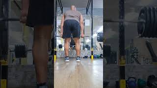 Stiffleg deadlift 287 lbs 8 reps deadlift lumbar latsworkout latspread [upl. by Mloc157]