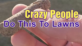 Only TRUE Lawn Care Nuts EVER Do This  My BEST Manual Core Aeration Tips [upl. by Nhaj]