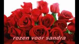 rozen voor sandrampg [upl. by Ruff516]