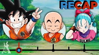 The Complete Dragon Ball Recap [upl. by Stanly992]