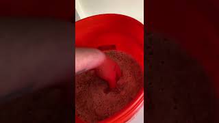 My second attempt at fermenting chicken feed [upl. by Ecneitap]