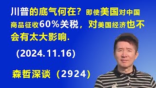 川普的“底气”何在？即使美国对中国商品 征收“60关税”，对美国经济 也不会有太大影响 20241116 《森哲深谈》 [upl. by Doi201]