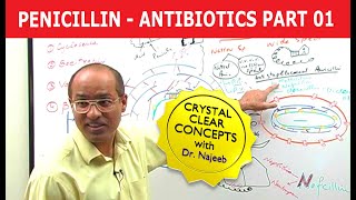 Penicillin  Antibiotics  Dr Najeeb  Part 14 [upl. by Wardlaw]