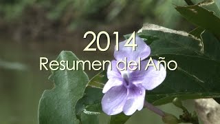 PNUD Resumen del Año 2014 [upl. by Ojoj468]