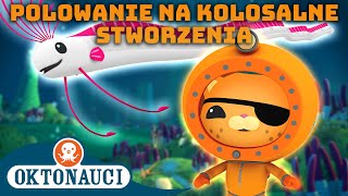 Oktonauci  🦑 Polowanie na kolosalne stworzenia 🔍  Kompilacja  Całe odcinki [upl. by Ainehs]