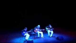 Trio Balkan Strings  Tamo dalekoRjabinuska  Official Video 2011HD [upl. by Onfre433]