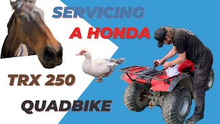 Servicing a Honda TRX 250 Quadbike [upl. by Sualk]