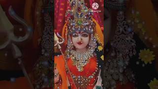 Navratri todays colours orange 2024Navratri shorts videonavratri2024 [upl. by Romonda]