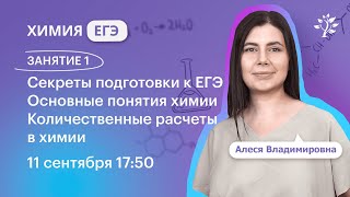 Химия ЕГЭ 2025 Секреты подготовки к ЕГЭ Основные понятия химии Количественные расчеты в химии [upl. by Akerdal]