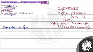 All of the following are Antigen presenting cells EXCEPT A Monocytes B Histocvtes C Basoph [upl. by Esojnauj521]