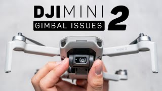 DJI Mini 2 Gimbal Issues Explained [upl. by Vardon278]