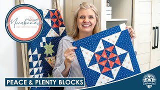 LIVE Peace amp Plenty Blocks for Moonbeams Charity Quilt Part 3  Behind the Seams [upl. by Beaumont555]