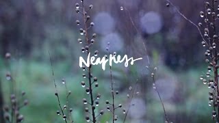 Nearness Song Story  Jenn Johnson  We Will Not Be Shaken [upl. by Aralc]