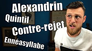 Analyser une Poésie  avec le bon vocabulaire [upl. by Caraviello]