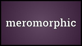 Meromorphic Meaning [upl. by Isyak]