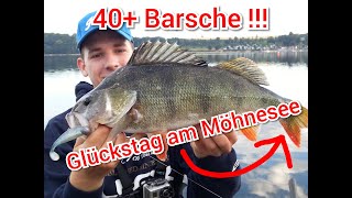 Mit Nitro durch´s Freiwasser  Auf Dickbarsch im Möhnesee mit dem Illex Nitro Shad 90 [upl. by Analise620]