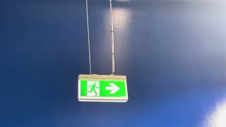 Stanilite Exit Sign with Arrow Pointing Right at Cheap as Chips Hollywood Plaza [upl. by Wolenik224]