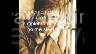 SIMPLEMENTE  CHAYANNE  letra [upl. by Euginomod]