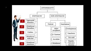 Enzymatic Antioxidants  مضادات الاكسدة الانزيمية الانزيمات [upl. by Fellner]