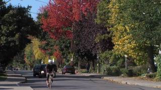 The Glebe  Ottawa  Picture it Downtown [upl. by Nilekcaj404]