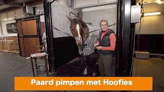 Paard pimpen met Hoofies  WINACTIE  PaardenpraatTV [upl. by Rentsch]