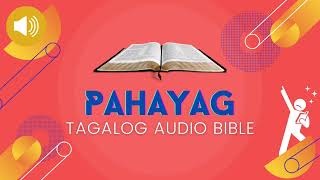 TAGALOG AUDIO BIBLE PAHAYAG REVELATION  Bagong Tipan [upl. by Perkin875]