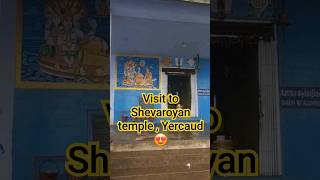 We visited Shevaroyan temple in December 🥰 yercaud drive ghatroad youtubeshorts winterspecial [upl. by Mahsih499]