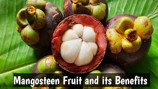 Mangosteen fruit benefits in telugu  How to eat mangosteen in telugu  Kadiyala Mamatha [upl. by Adlesirhc]