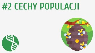 Cechy populacji 2  Ekologia [upl. by Nivan844]