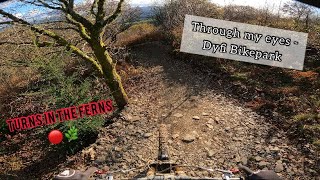 Dyfi Bike Park’s newest trail “turns in the ferns” full run POV [upl. by Kolnos]