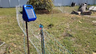 MY FORAY INTO ELECTRIC NET FENCING [upl. by Etnoj]