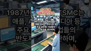 TSMC에 대해서 알아보자TSMC 대만 반도체 파운드리 위탁생산 애플 AMD 엔비디아 [upl. by Lesly]