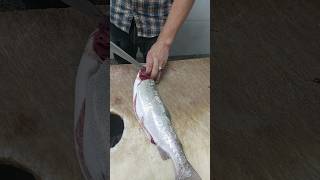 Cleaning farmed salmon [upl. by Woothen]