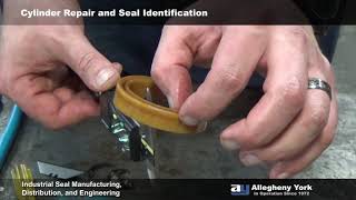 Hydraulic Seal Identification [upl. by Nareik]