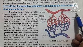 Role of arterioles in vasoconstriction and vasodilation precapillary sphincter [upl. by Pepi]