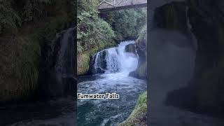 Brewery Park Tumwater Fallsfishjumpshortstravel [upl. by Aniwde821]