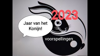 Jaar van het KONIJN 2023 voorspellingen geld liefde enz en uitleg elementen [upl. by Swehttam]