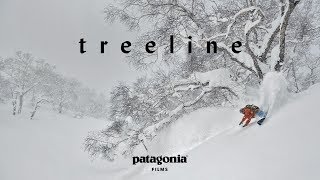 Treeline  The Secret Life of Trees  Patagonia Films [upl. by Dayiz]