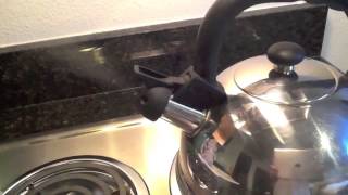 Random Stovetop Kettle [upl. by Farrel]