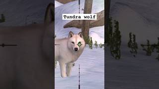 Shooting game  catching a Tundra wolf herasChannel gametime88888 [upl. by Ahtiuqal687]