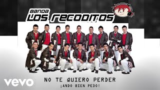 Banda Los Recoditos  No Te Quiero Perder Animated Video [upl. by Audrie]