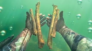 Found Human Bones Underwater Police Called [upl. by Oiramrej]